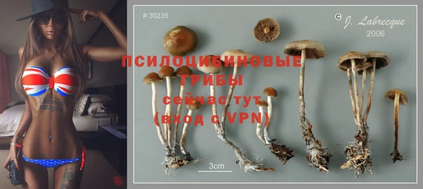 гидропоника Алексин