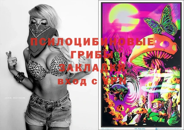 гидропоника Алексин