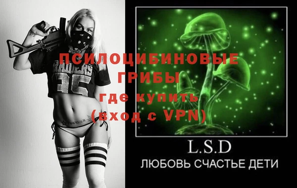 круглые Алексеевка
